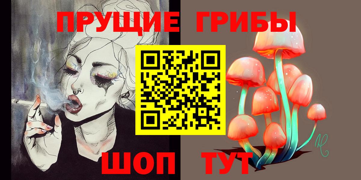 Псилоцибиновые грибы Psilocybine cubensis  закладки  Барабинск  Псилоцибиновые грибы Psilocybine cubensis  Вход с VPN 